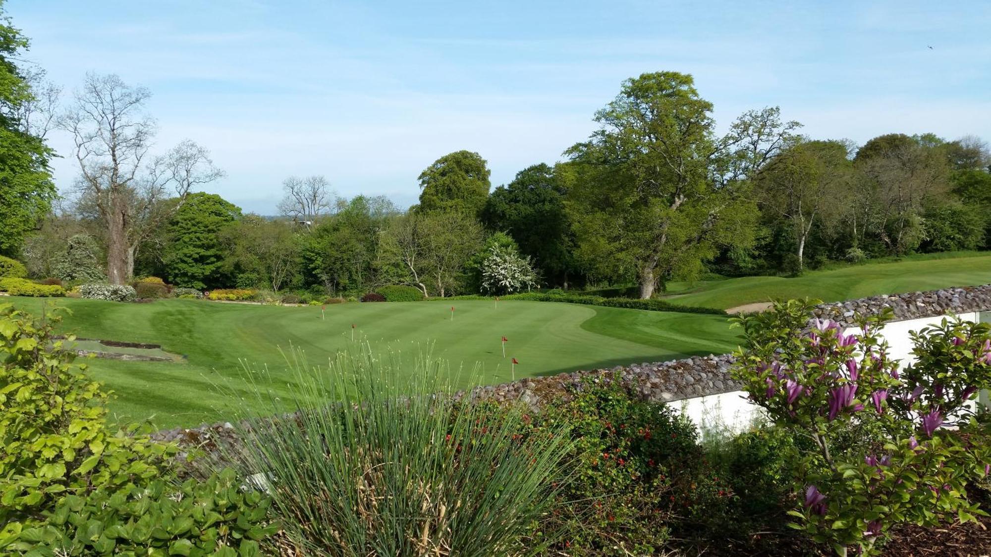 New Forest Estate Lodges Tyrrellspass Luaran gambar