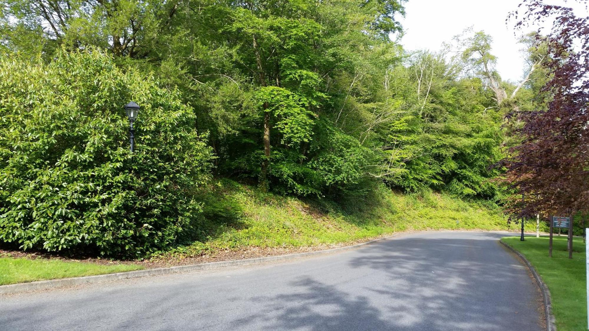New Forest Estate Lodges Tyrrellspass Luaran gambar