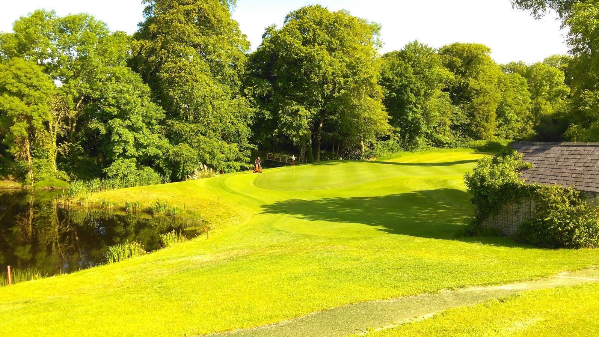 New Forest Estate Lodges Tyrrellspass Luaran gambar